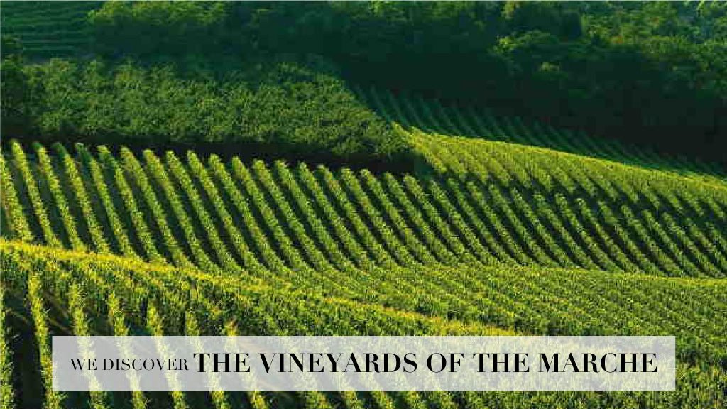 #26 / Joking aside - Marco Moreo Milano