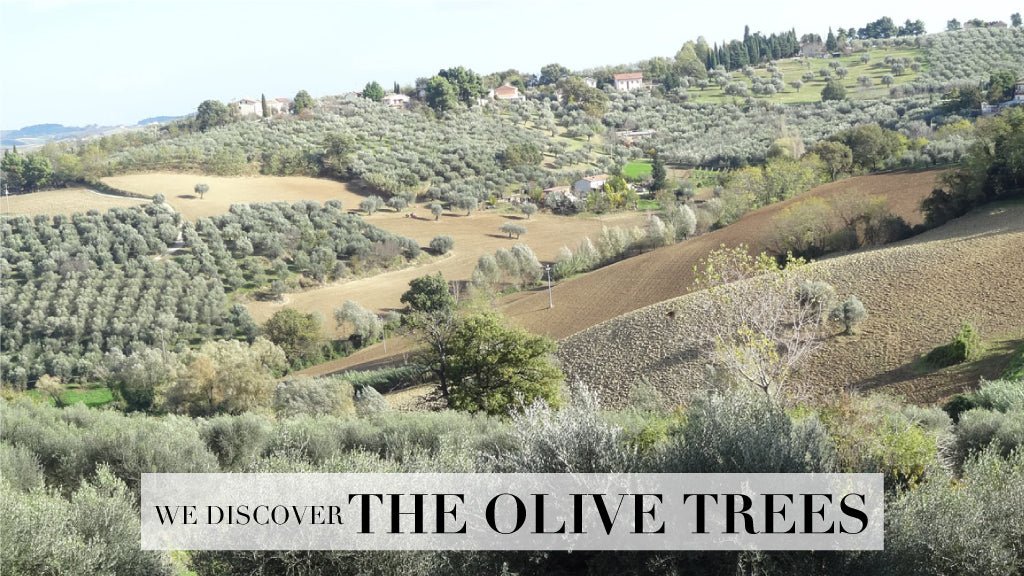 #29 / To the origins of oil… - Marco Moreo Milano