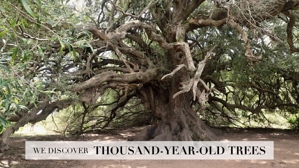 #45 / Don’t expect white sand beaches - Marco Moreo Milano