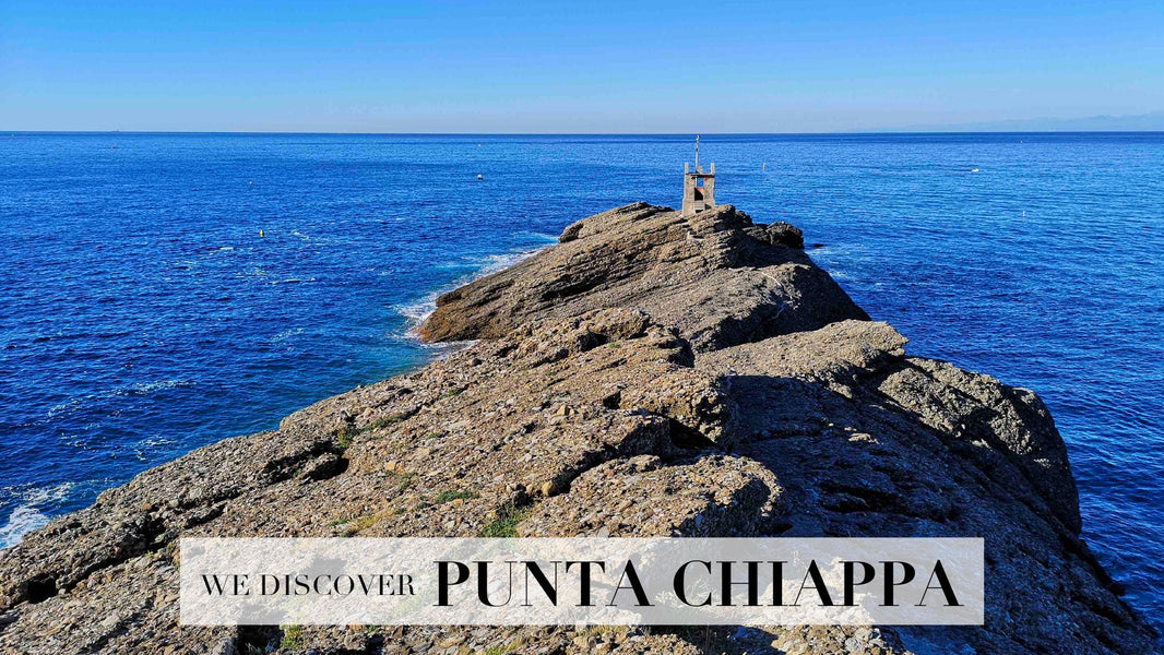 #59 / A dark rock that slopes into the water - Marco Moreo Milano