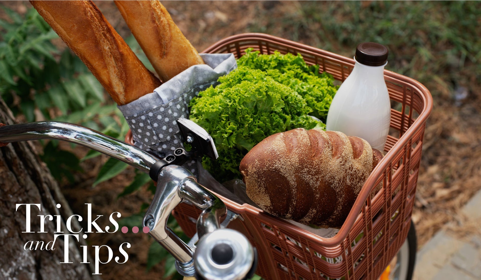 What’s in your shopping trolley? 🛒 👀 - Marco Moreo Milano